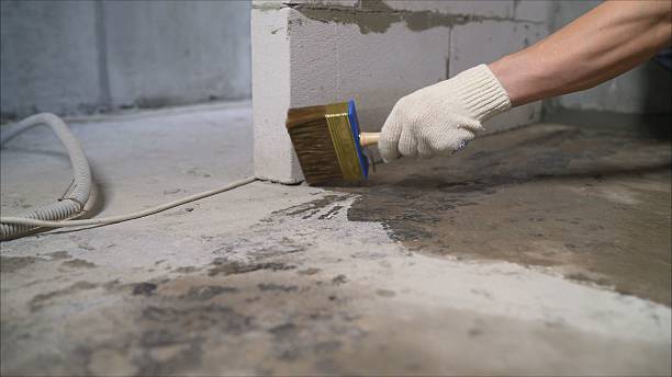 SJ Waterproofing Pros Sump Pump Installation coverage map for Genoa, IL and surrounding area
